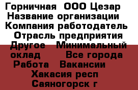 Горничная. ООО Цезар › Название организации ­ Компания-работодатель › Отрасль предприятия ­ Другое › Минимальный оклад ­ 1 - Все города Работа » Вакансии   . Хакасия респ.,Саяногорск г.